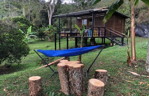 San Francisco Chalet De Ski | Cabaña tipo glamping en finca cafetera con zonas verdes, avistamiento de aves, paisaje cafetero
