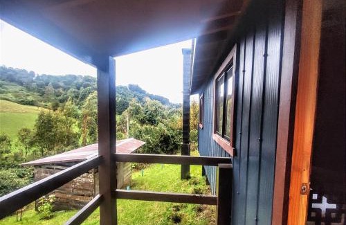Puerto Octay Maison | Cabaña VerdeNativo-Puerto Octay