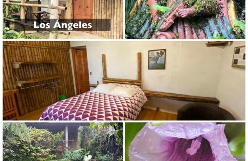 Cuetzalan del Progreso Hôtel | Cabañas Aldea San Francisco de Asís