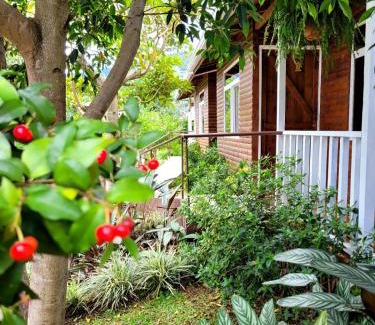 Santa Maria Appartement | Cabañas Barú Dota