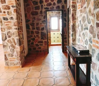 Calpulalpan Appartement | Cabañas Calpulalpan de paso
