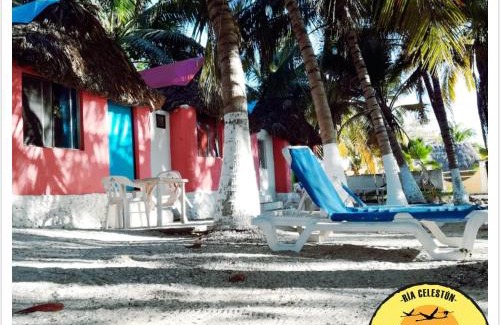 Celestun Hôtel | Cabañas Camping Ria Celestun