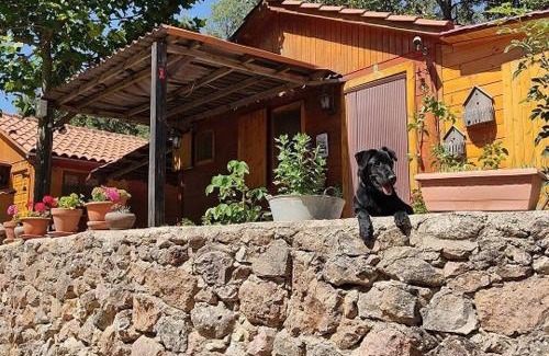 Penascosa Autre | Cabañas Camping Sierra de Peñascosa
