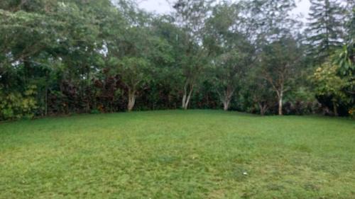 Quebrada La Gamba Appartement | Cabañas Celeste