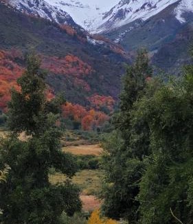 Colbun Chalet De Ski | Cabañas con tinajas calientes en Parque Guaiquivilo