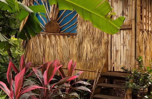 Balgue Cabine | Cabañas El Bamboo
