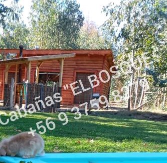 Yerbas Buenas Chalet De Ski | Cabañas ELBOSQUE