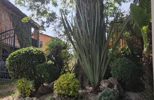 Zacatlan Maison | Cabañas Las Gardenias 4