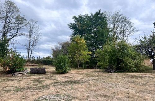 Gorbea Appartement | Cabañas NATURE