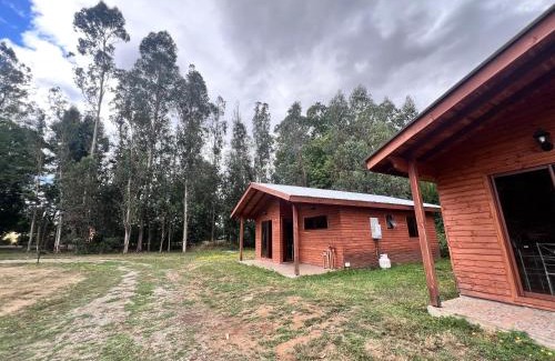 Gorbea Appartement | Cabañas NATURE
