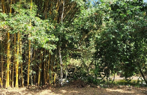 San Isidro de El General Cabine | Cabañas Para Descanso Oso Perezoso