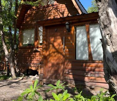 Moquehue Chalet De Ski | Cabañas Refugio del Cauquen - Moquehue