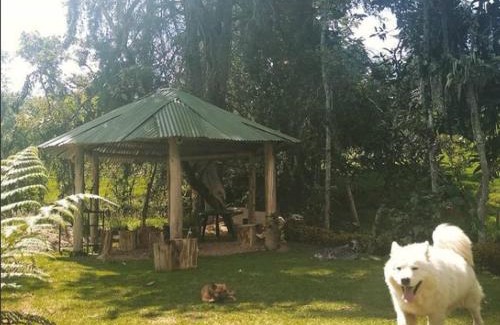 San Pedro Autre | Cabañas Rusticas El Viejo Tambo