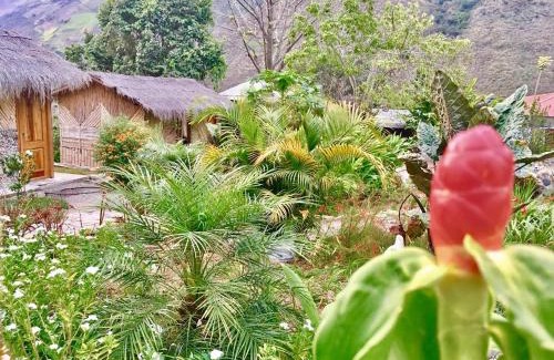 Huigra Cabine | Cabañas Samay Mágico Ecolodge