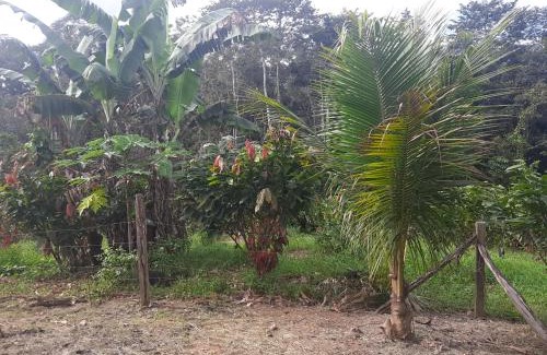Tarapoa Maison | Cabañas Tarapuya