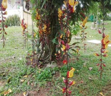Floridablanca Appartement | Cabañita en medio de la Naturaleza Mesa de Ruitoque
