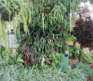 Floridablanca Appartement | Cabañita en medio de la Naturaleza Mesa de Ruitoque
