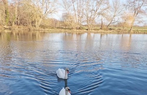 Saint-Medard-de-Guizieres Maison | Cabanon de Charme les Pieds Dans L'eau !