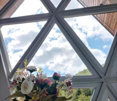 Cavnic Chalet De Ski | Cabana All Seasons