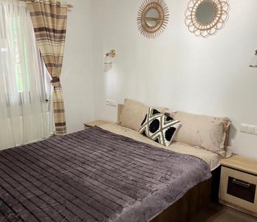 Beclean Maison | Cabana Amelie Baile Figa