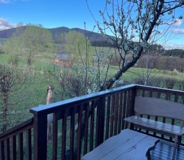 Rasinari Maison | Cabana Apple Garden Rășinari