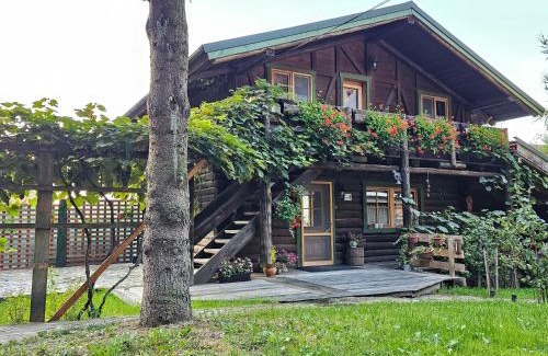 Rasnov Cabine | Cabana Bendis