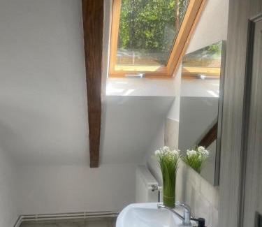 Calimanesti Cabine | Cabana Cascada Lotrisor