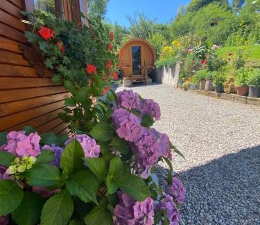 Moisei Appartement | CABANA GOTAN