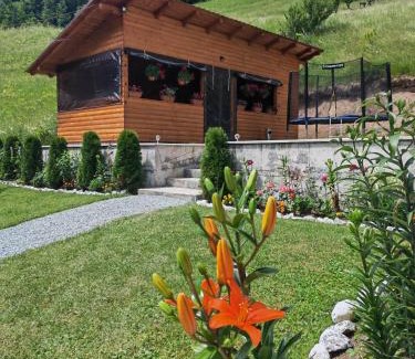Arieseni Maison | Cabana Lazea