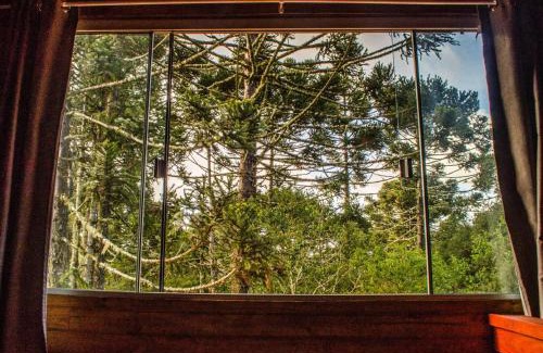Cambara do Sul Cabine | Cabana na Floresta Rincão do Fortaleza