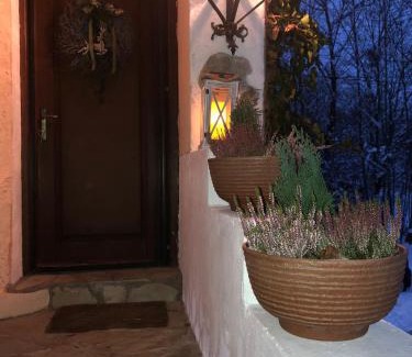 Sucevita Maison | Cabana Paulino