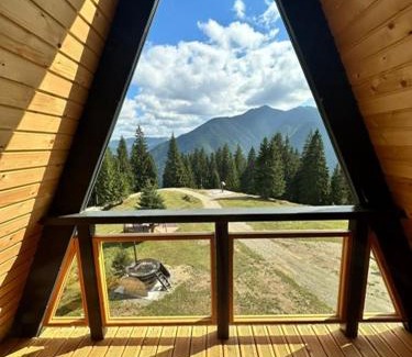 Cozanesti Chalet De Ski | Cabana Piatra Codrilor