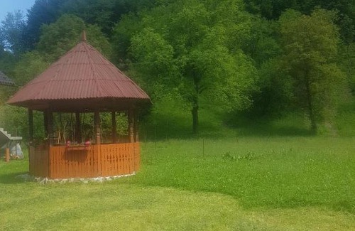 Viseu de Sus Maison | Cabana plaiului