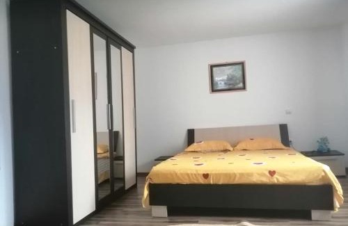 Viseu de Sus Maison | Cabana plaiului