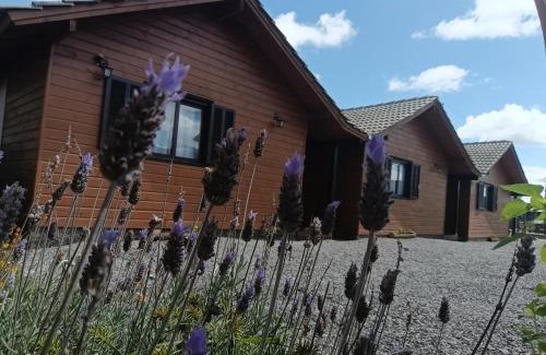 Cambara do Sul Cabine | Cabanas Ninho dos Pássaros