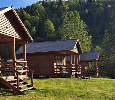 Voslabeni Cabine | Cabane Areama Neagra