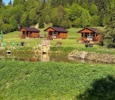 Voslabeni Cabine | Cabane Areama Neagra