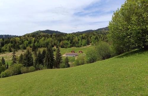 Voslabeni Cabine | Cabane Areama Neagra