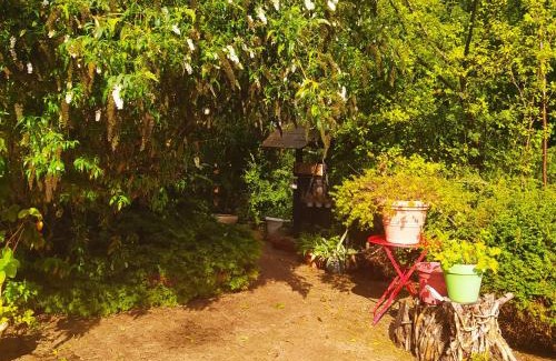 Fumay Autre | CABANE CERISE DANS L'ARBRE Etapeboisee