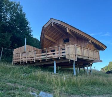 La Pesse Chalet De Ski | Cabane Insolite de la Semine