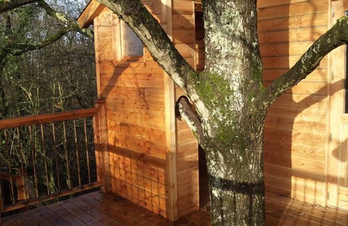 Brissac Loire Aubance Cabine | Cabane Mar'ienne au Thoureil, Maine et Loire