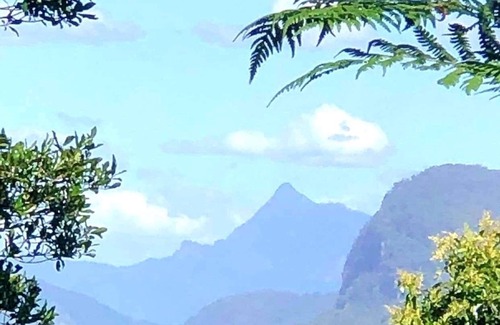 Numinbah Valley Cottage | Cabane Tiny Tree House Gold Coast Hinterland STAY PLAY EAT RELAX REPEAT