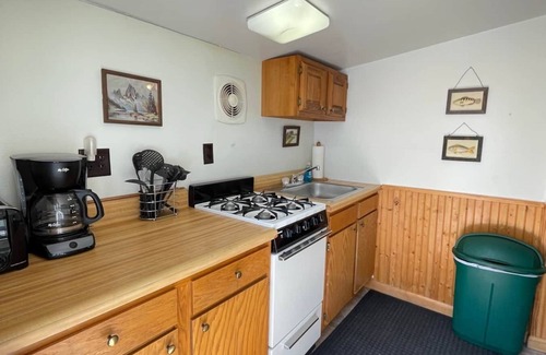 Brier Hill Cabine | Cabin 3 w/ Dock Access *BEAUTIFUL LAKE VIEW*