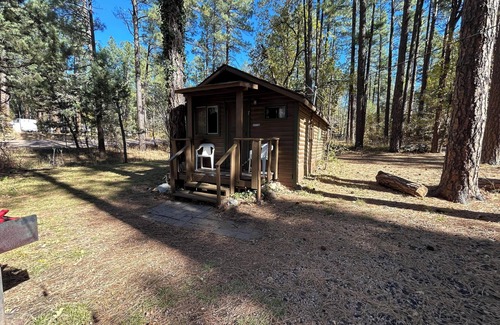 Christopher Creek Cabine | Cabin #7 - Rustic Studio with fireplace