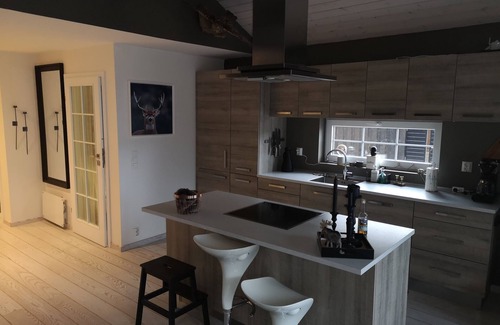 Vinje Cabine | Cabin for 10 person, playground and bikes inkludet