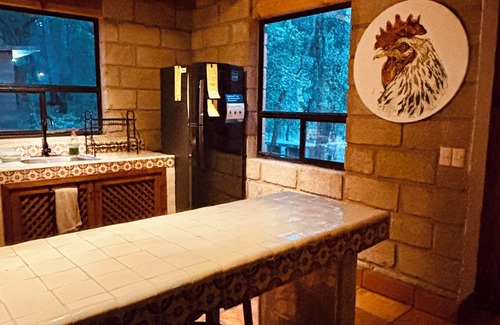 Amealco Cabine | Cabin immersed in 1 hectare of forest. Maximum Internet power (Starlink)