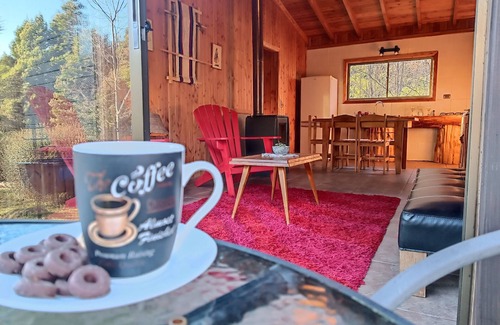 Panguipulli Cabine | Cabin in Coñaripe on the riverbank
