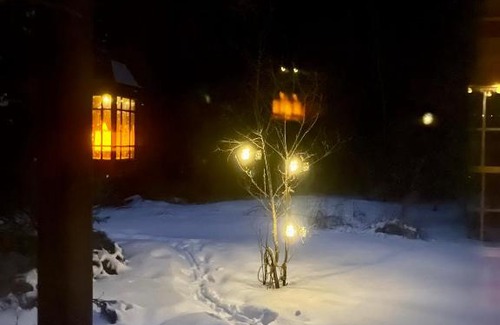Frontenac Autre | Cabin in the Forty Acre Wood
