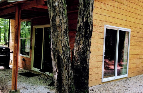 Westford Cabine | Cabin in the woods. Minutes to Pymatuning Lake.
