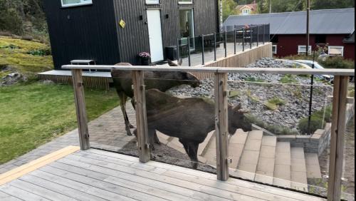 Eskilstuna Appartement | Cabin in the woods, close to Lake Mälaren